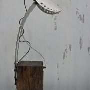 Mistletoe lamp